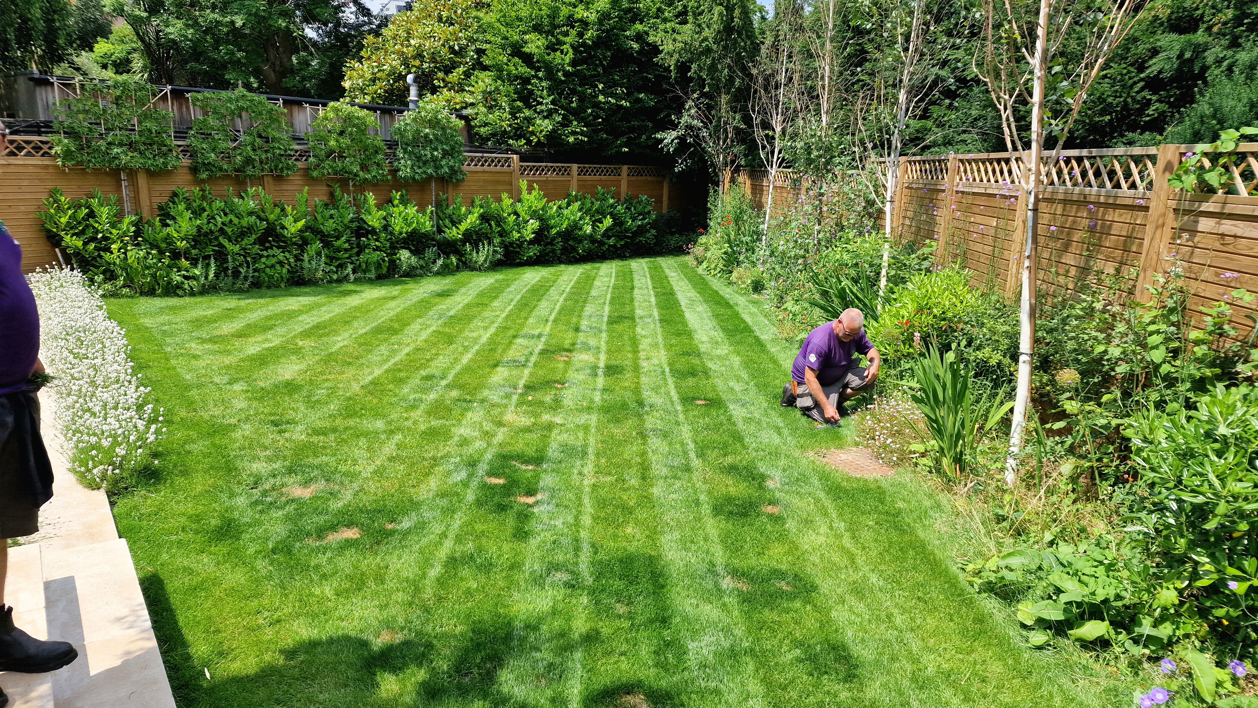 Stage 3: Ongoing Maintenance